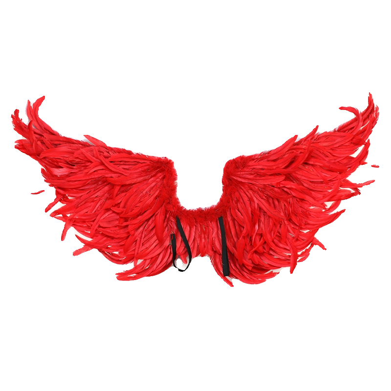 อุปกรณ์ประกอบฉากการแสดงปีกนางฟ - Cosplay Flame Prop บทวิจารณ์และราคา